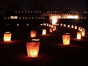 Bulk Order Form for Luminary Candle Supplies