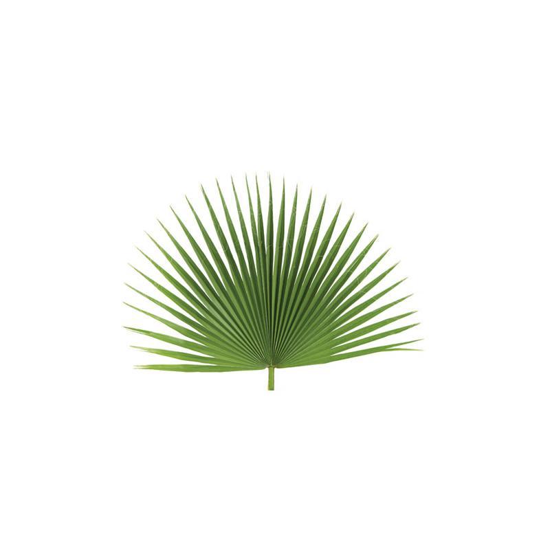 Fan Leaf Altar Decor Palms  (Bag Of 4)
