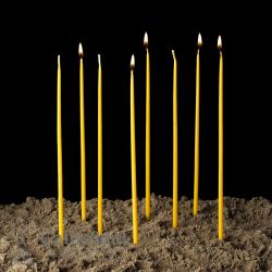 Orthodox Tapers 100% 1/4 X 11