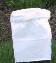 #6 Standard White Paper Luminaria Candles Bag