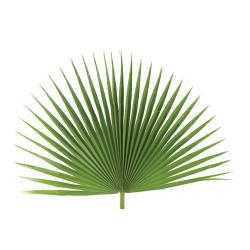 Fan Leaf Altar Decor Palms  (Bag Of 4)