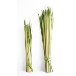 Palm Sunday Palm Strips LONG (BAG for 100 ppl)