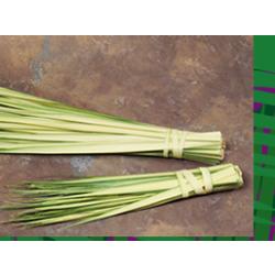Palm Sunday Palms SHORT (BAG for 100 ppl)